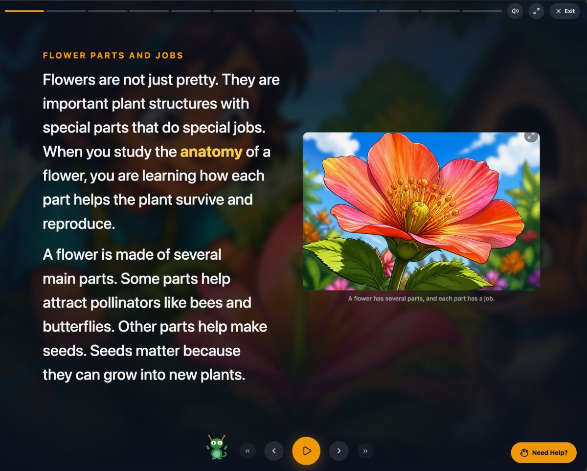A Cinematic lesson screen headed Flower Parts and Jobs. Text on the left: Flowers are not just pretty. They are important plant structures with special parts that do special jobs. When you study the anatomy of a flower, you are learning how each part helps the plant survive and reproduce. On the right, a detailed illustration of a single orange-pink flower with its stamens and pistil visible against a blue sky, captioned A flower has several parts, and each part has a job.